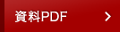 btn_pdf